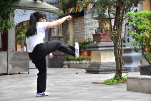 batch-dsc-0095